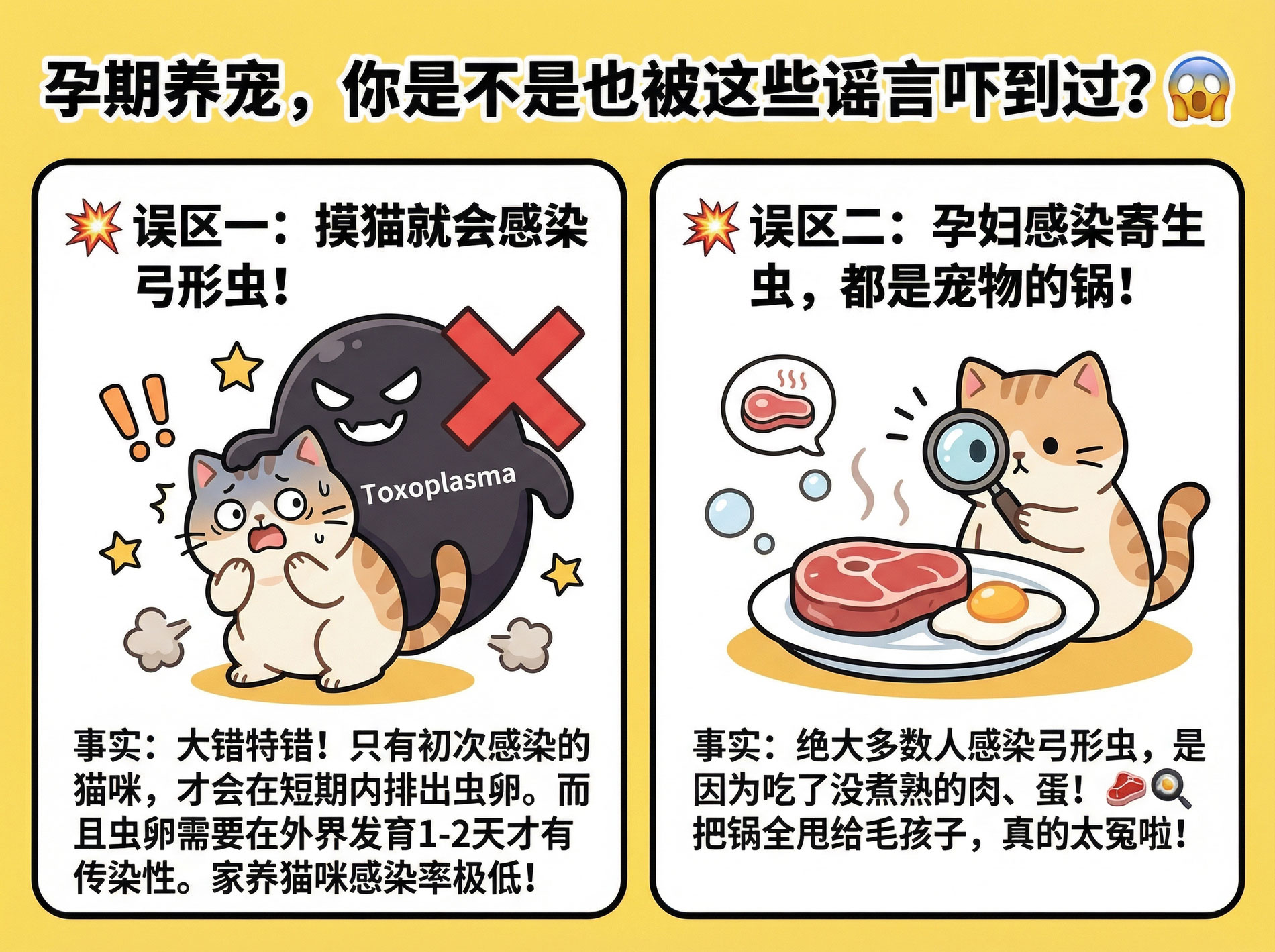 1774491691793211.jpg 页面_2-(17).jpg