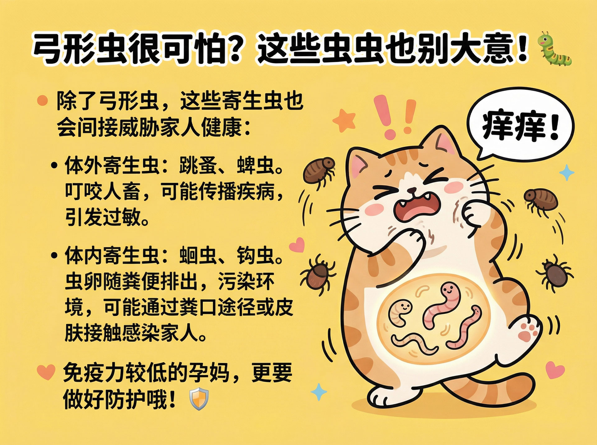 1774491705730196.jpg 页面_3-(15).jpg