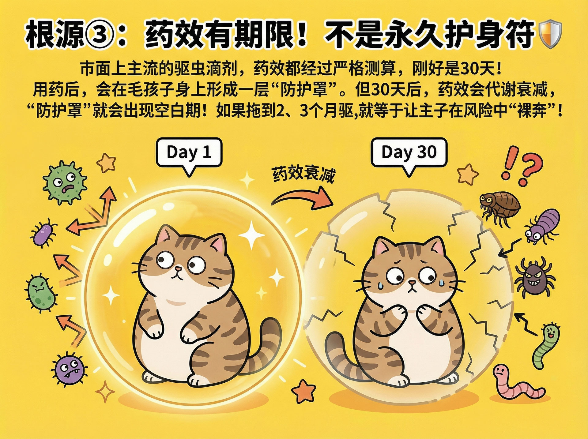页面_4-(15).jpg