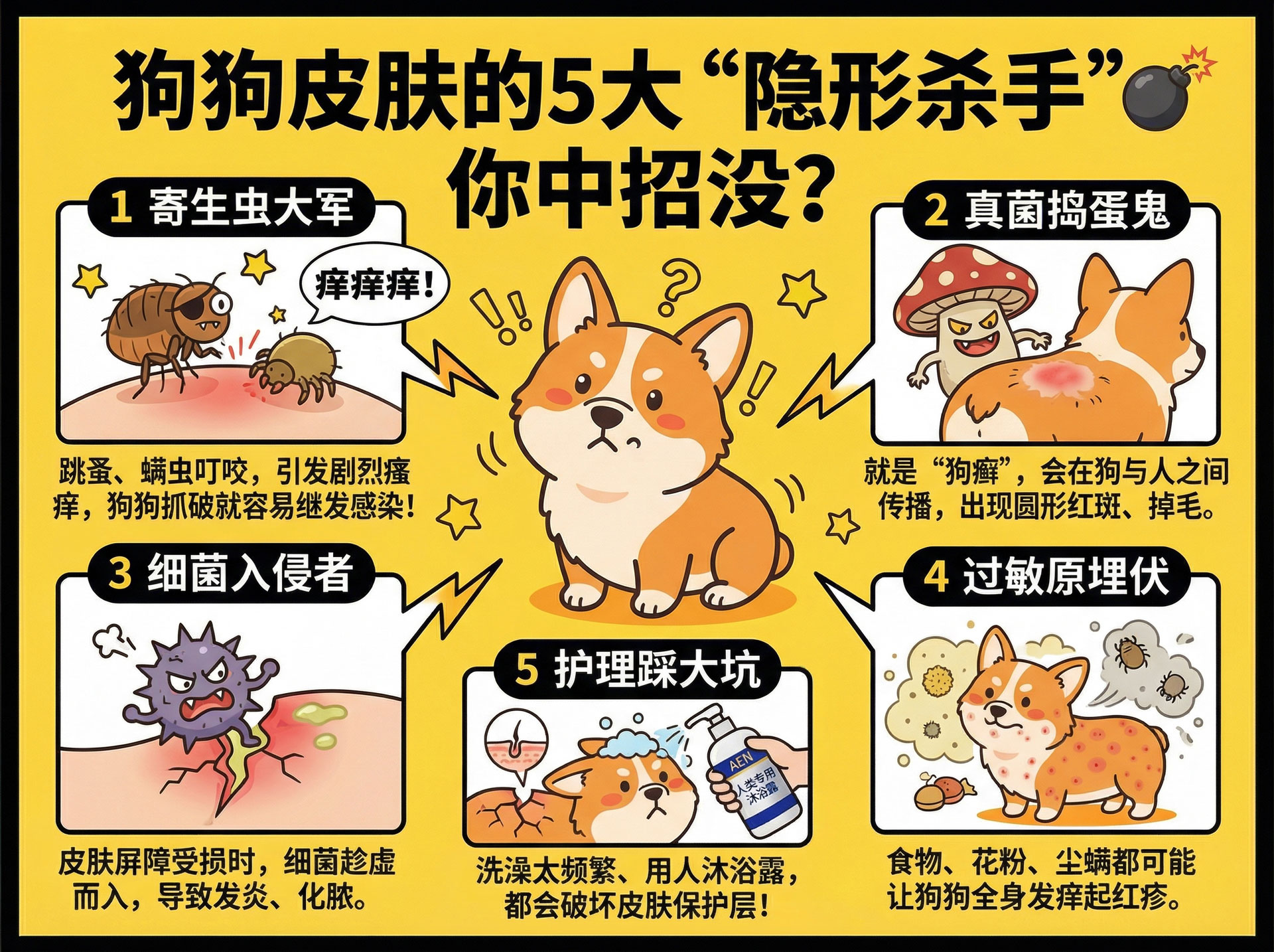 页面_2-(3).jpg
